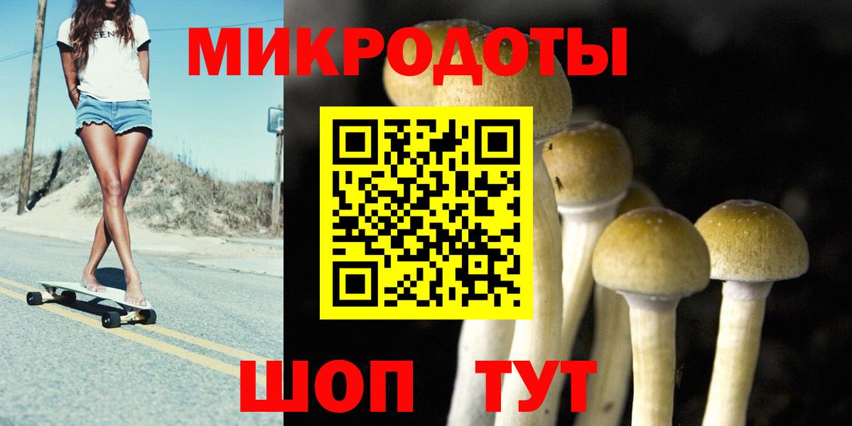 Псилоцибиновые грибы GOLDEN TEACHER Нарткала
