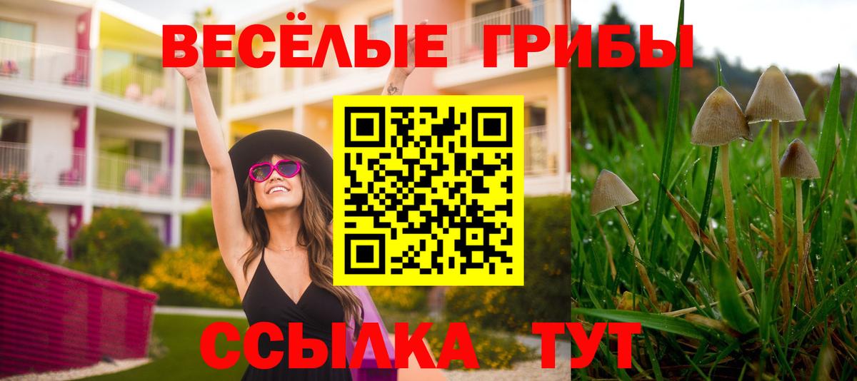 Нарткала  Псилоцибиновые грибы Cubensis  дарнет шоп  Вход с VPN 